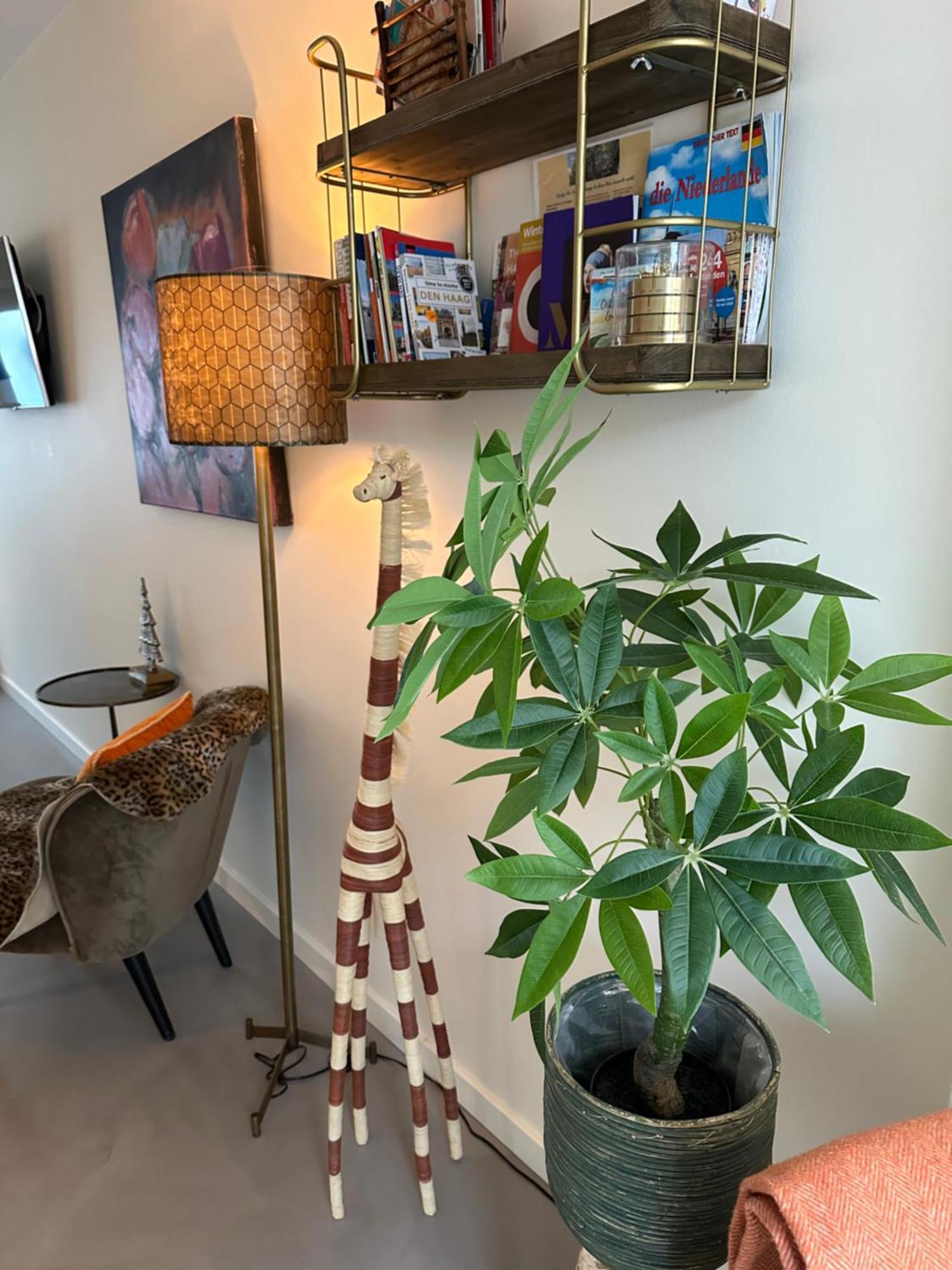 لاهاي B&B Ereprijs المظهر الخارجي الصورة